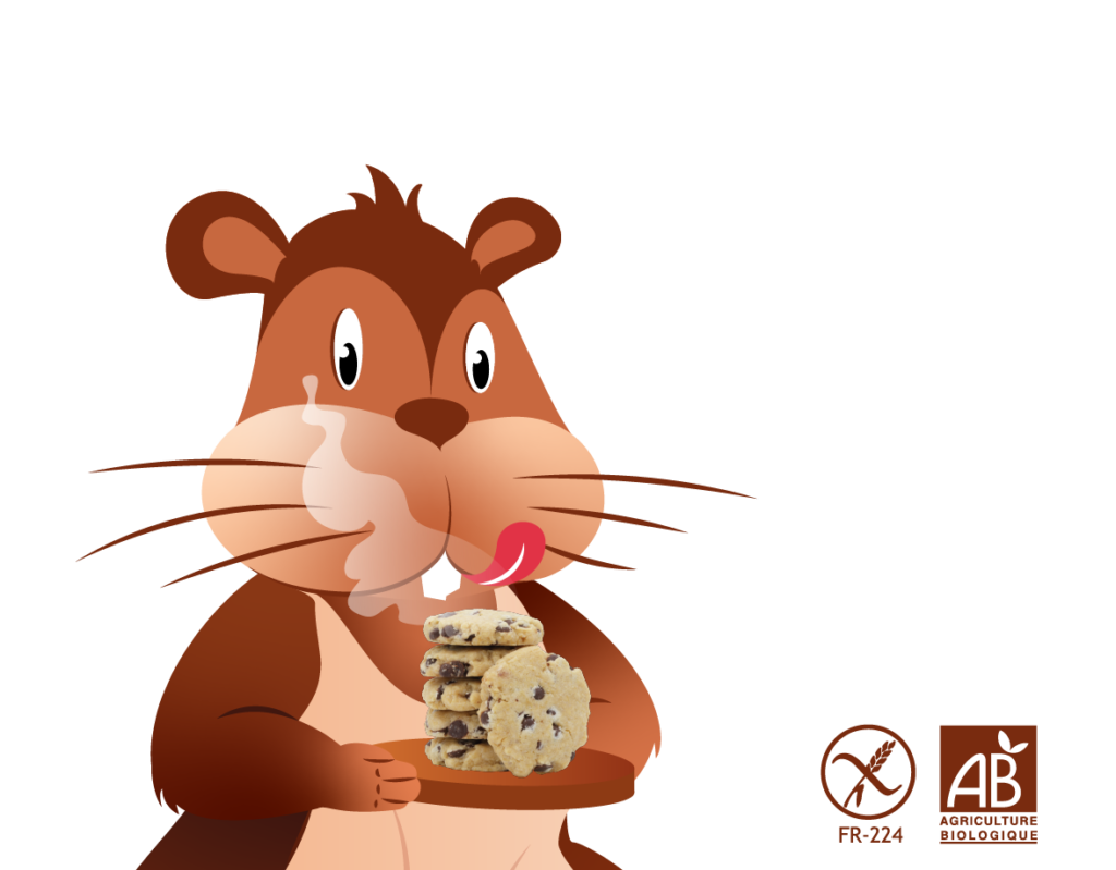 biscuits-bio-sans-allergenes-marmotte-gourmande