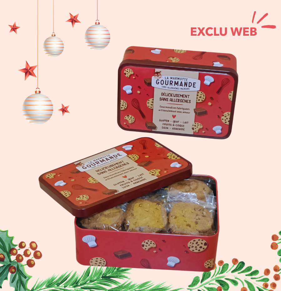 Boîte métal cookies pépites de chocolat