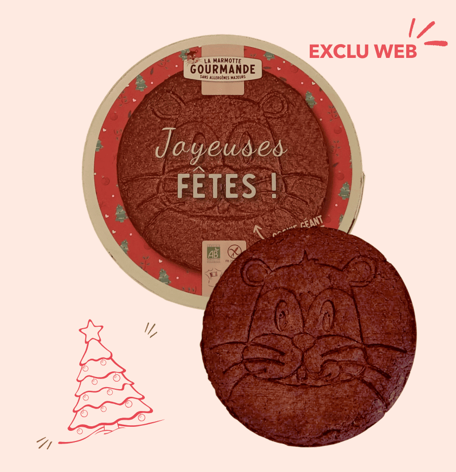 Cookies chocolat cadeau noel sans gluten sans allergènes