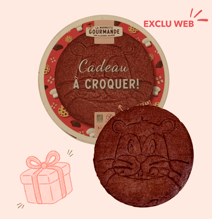 Cookies chocolat cadeau sans gluten sans allergènes